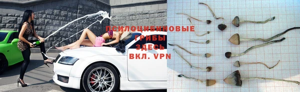 прущие крисы Покровск