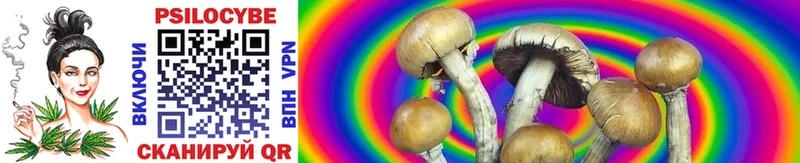 Псилоцибиновые грибы Cubensis  OMG сайт  Шимановск  магазин  наркотиков 
